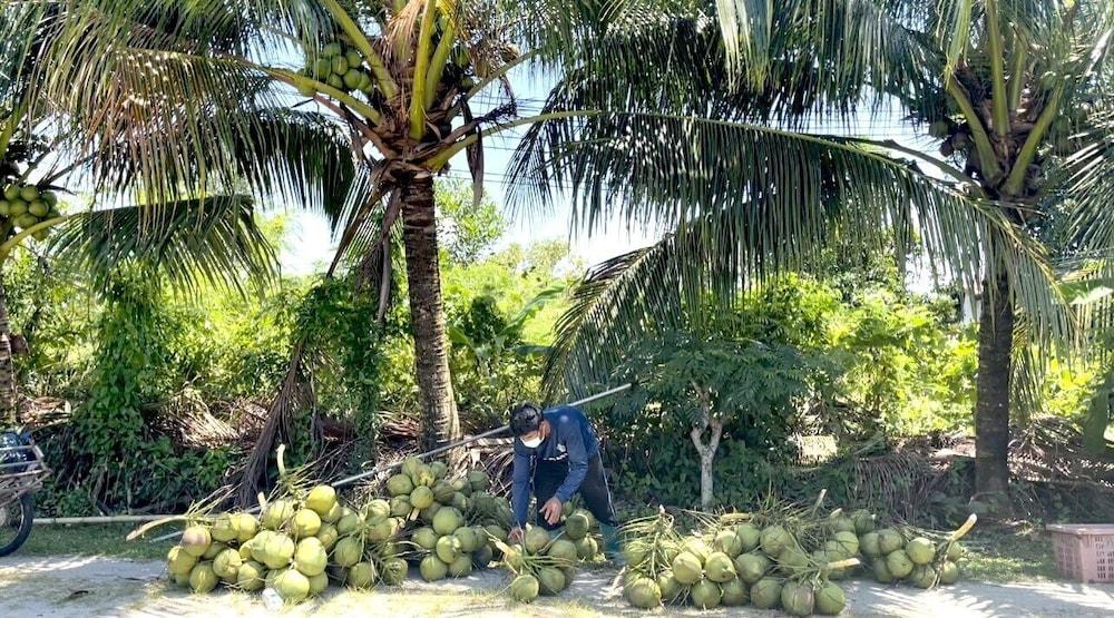 فندق لانتالا ريزيدانس Takua Thung المظهر الخارجي الصورة